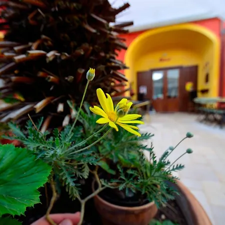 Alojamento de Acomodação e Pequeno-almoço Manouche Osteria Caserta