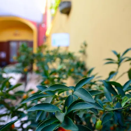 Manouche Osteria